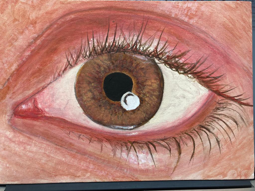 GCSE Art Help Cornwall Mawgan Porth