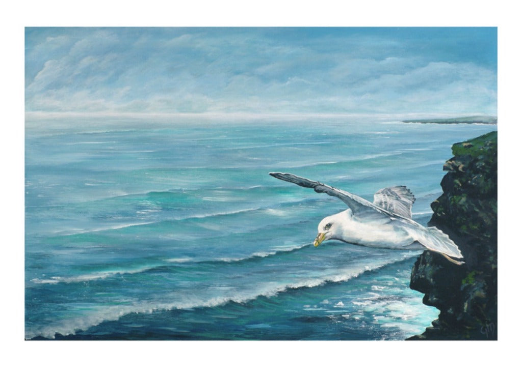 Floating on Air: A Fulmar Over Carnewas (Bedruthan Steps) near Mawgan Porth