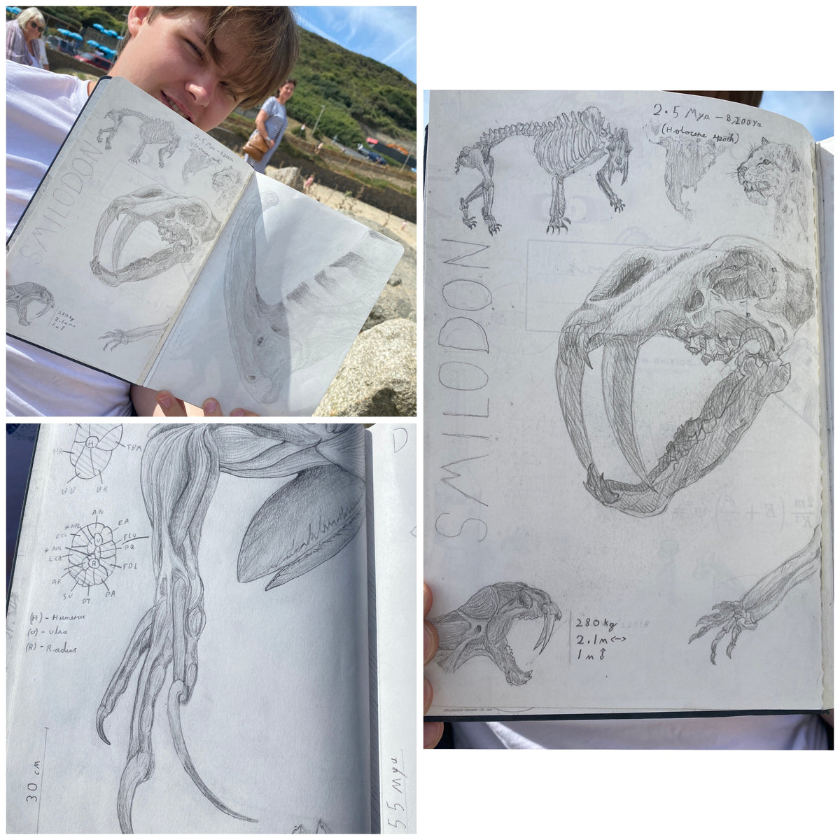 Talented Young Artist Takes Drawing Further