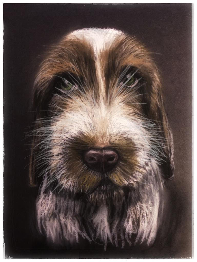 Dog portrait by a fabulous student of mine
