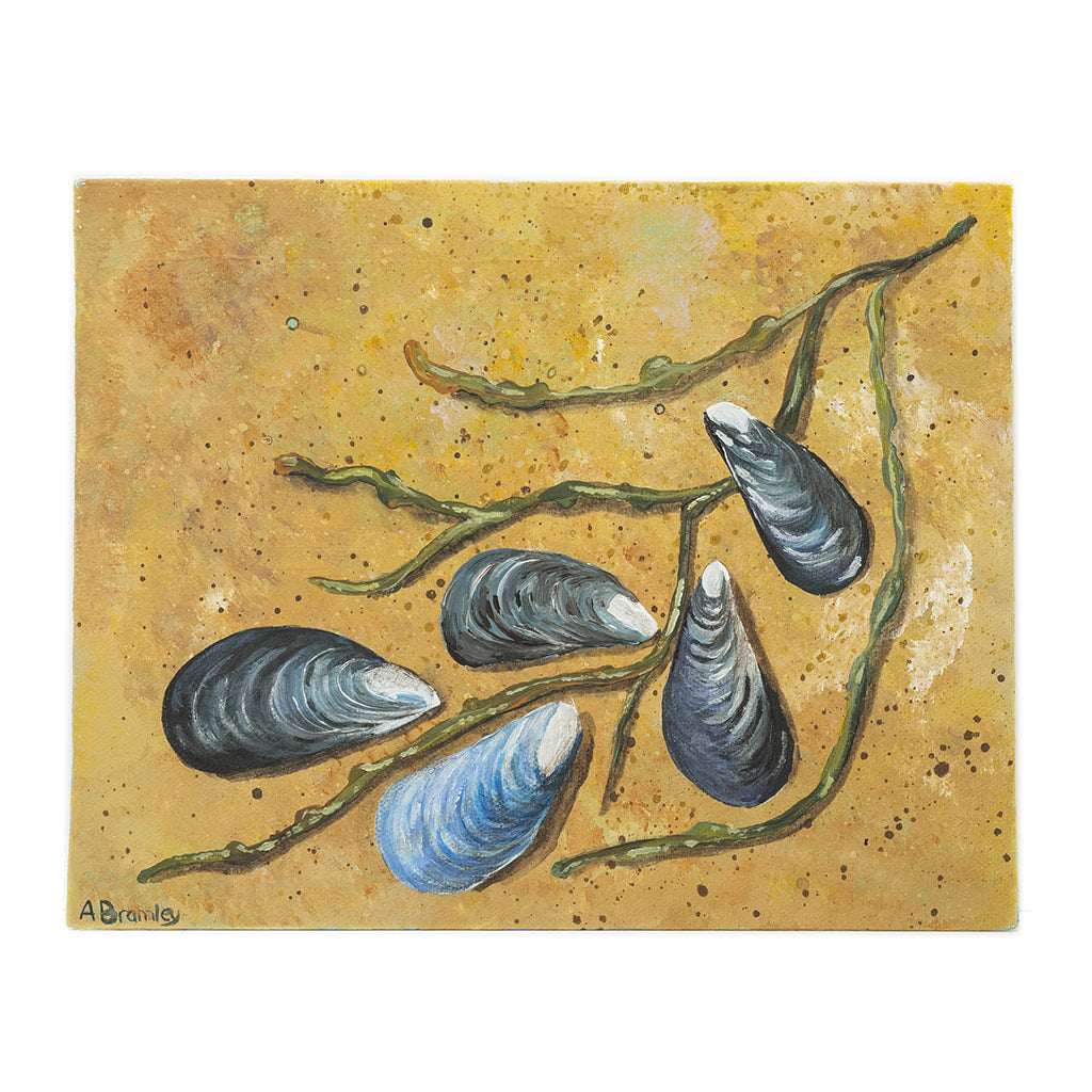 Mussels on the Beach | Art at the Beach | Jeanni Grant-Nelson | Mawgan Porth