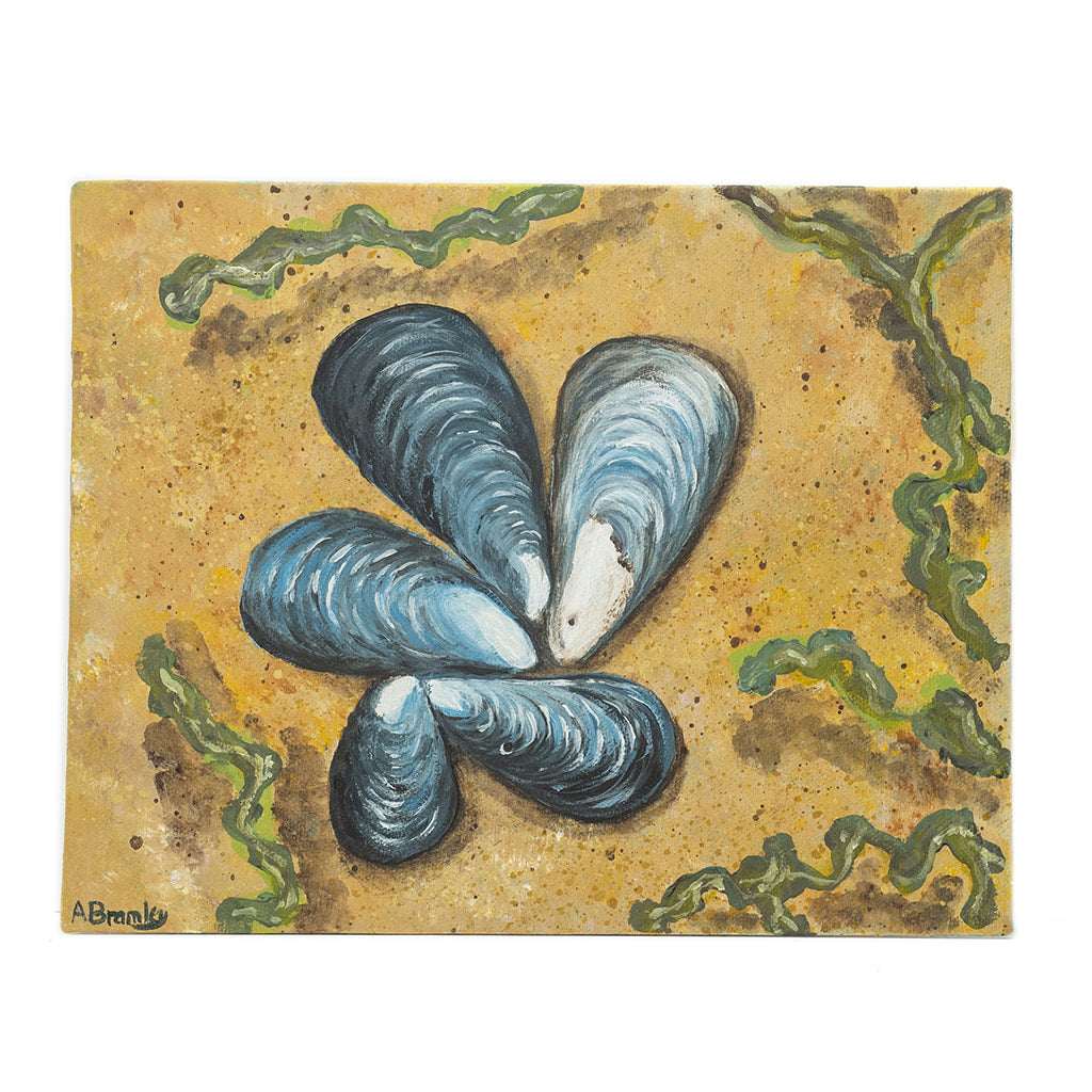 Mussel Circle | Art at the Beach | Jeanni Grant-Nelson | Mawgan Porth