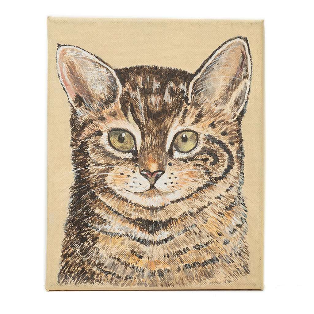 Tabby Cat | Art at the Beach | Jeanni Grant-Nelson | Mawgan Porth