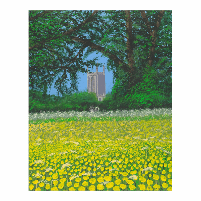 Buttercups in Abundance - Print | Art at the Beach | Jeanni Grant-Nelson | Mawgan Porth