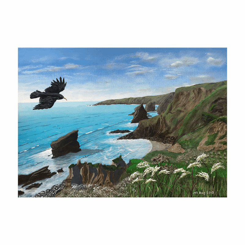 Choughs Eye View of Bedruthan Steps, Cornwall - Print | Art at the Beach | Jeanni Grant-Nelson | Mawgan Porth